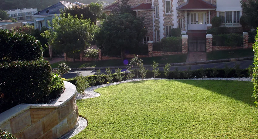 Structured front garden with hedging and lawn