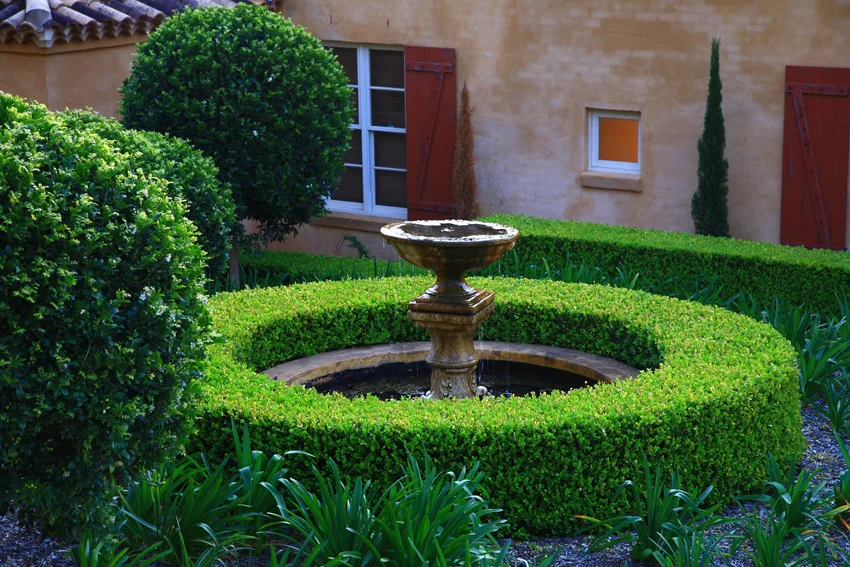 Garden water feature set among established planting